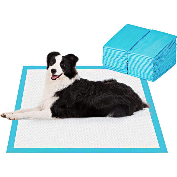 Super Absorbent Waterproof Dog and Puppy Pet Training Pad, Housebreaking Pet Pad,Potty Training, Standard Absorbency，Blue & White（23.6‘’x 23.6‘’）